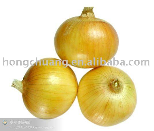 non- peeled   yellow   onion 