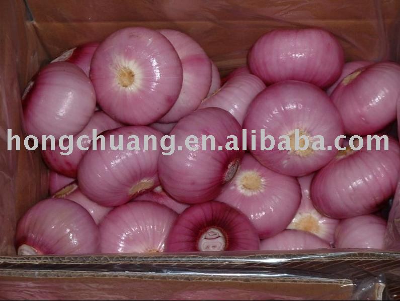 china onions
