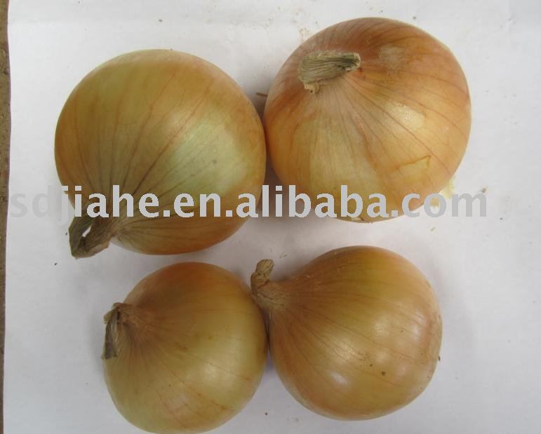 yellow  onion