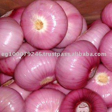 Fresh Red Onion