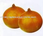 Chinese Fresh Onion (10kg/mesh bag, 20kg/mesh bag)