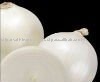 indian white onion