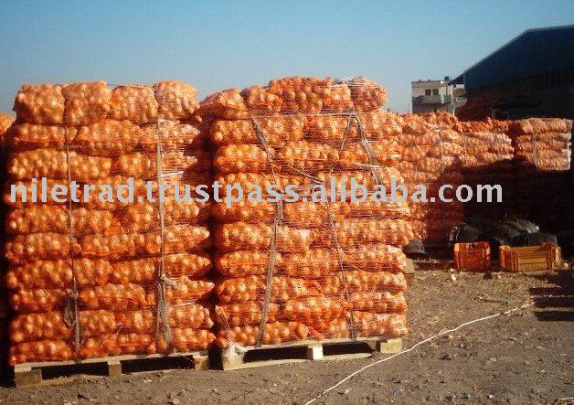 Egypt Nile Trade Export  Nasik   Red   Onions 