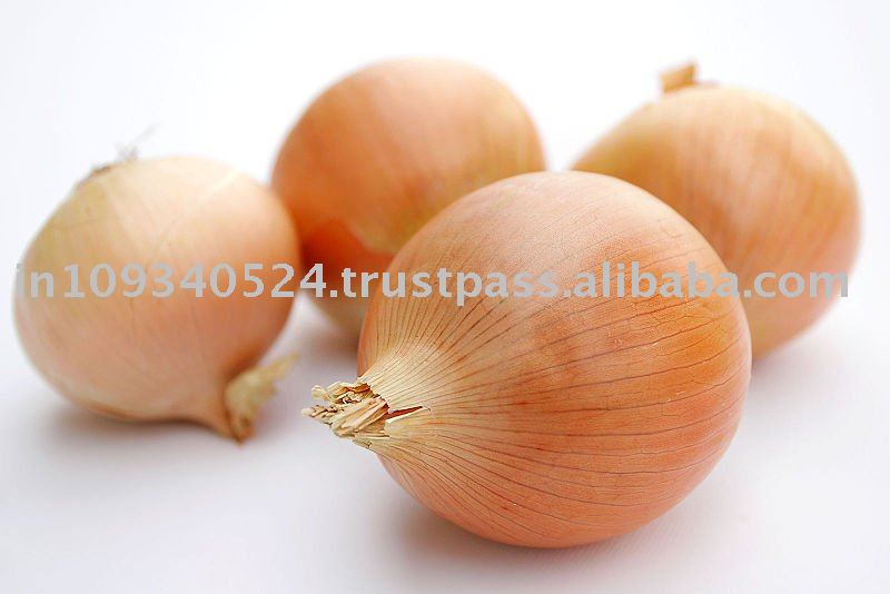 BANGALORE AND NASIK ONION