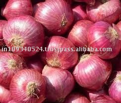 big onions