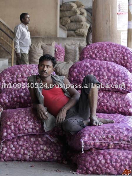 Exporter of  Indian   Red   Onion 