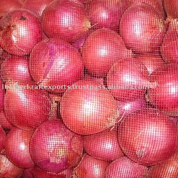 Fresh Onions