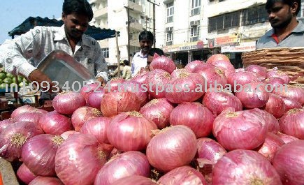  Nasik   Red   Onions 