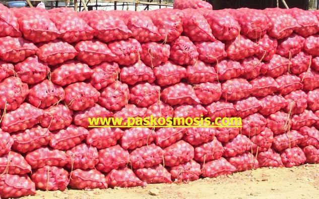  Shallot s  Onion 