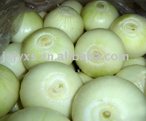 Fresh  Peeled   Yellow    Onion 