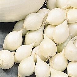 White Onions