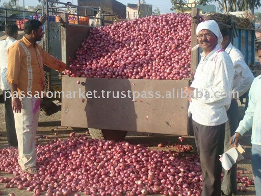 Red Onion