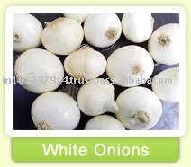 White Onion