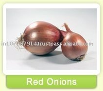 Fresh red onion