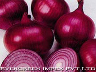  Bangalore  Rose  Onion s