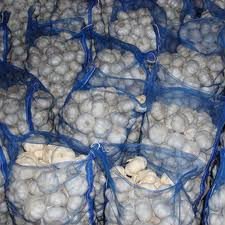fresh onion,fresh garlic and  ginger  for  sell 