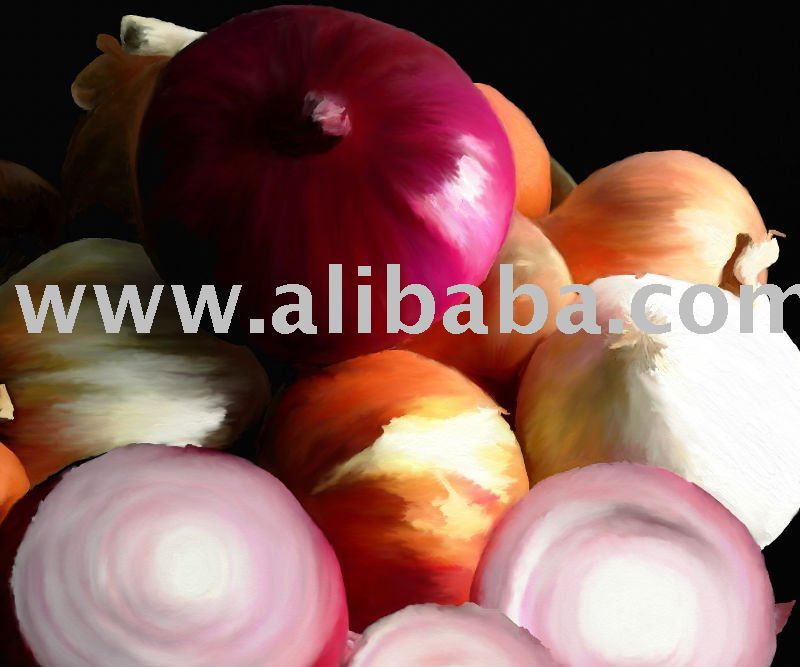  Fresh   Farm   Onion s