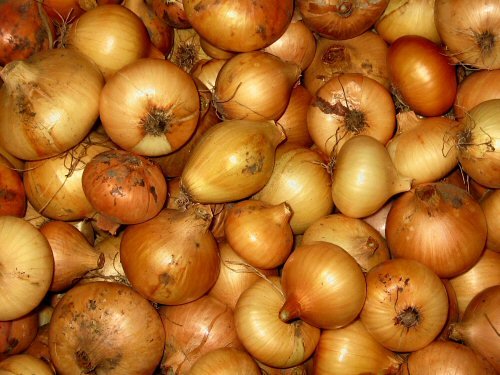 We have Onion,Lettuce and a variety of others available for sale