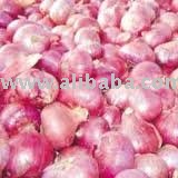PREMIUM FRESH ONION VEGETABLES