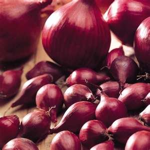 red onion.white onion;garlic;ginger and many others