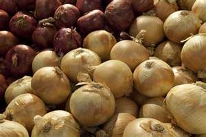 onion,garlic ginger