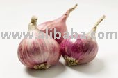 onion