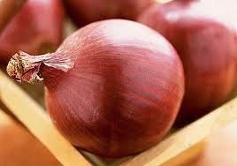 best quality red onion for supply now