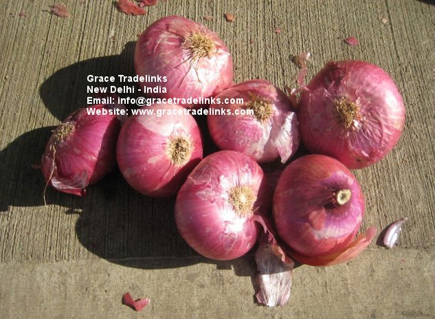 Fresh Pink Onion Manufacturer,Fresh Pink Onion Exporter from Nashik India