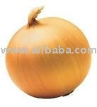 Fresh Onion,Garlic,Ginger,black Pepper ready for sale now