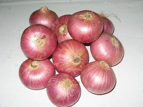 fresh red onion