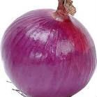 quality onion,garlic and turmerics for sale
