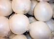 pure  white   fresh   onion 