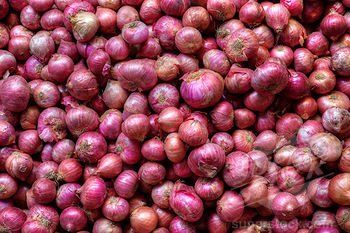quality fresh onon and gnger available for sale