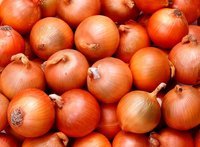  vacuum   packed   peeled   onion 