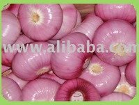 DELMONTE FRESH ONIONS READY FOR EXPORTATION