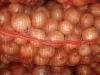  Top   Quality   Fresh  Onion