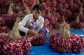 Red onion