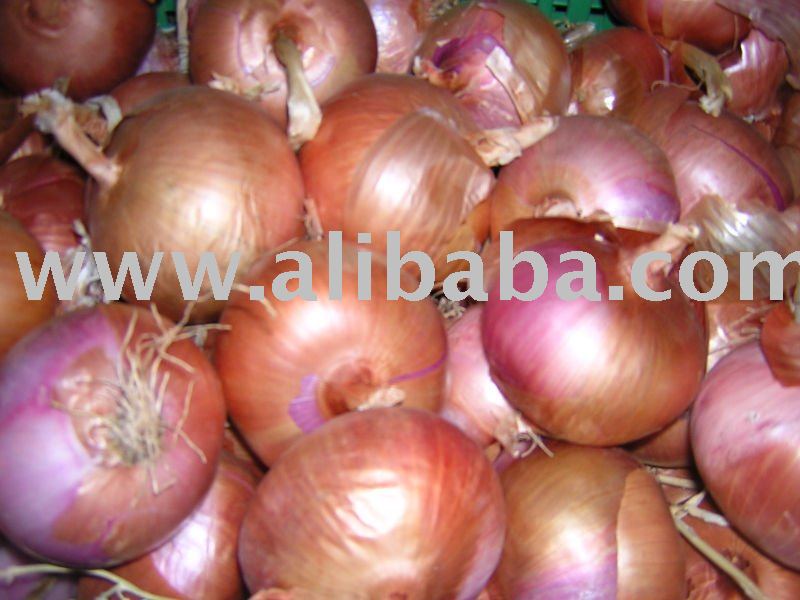 Onion Dry