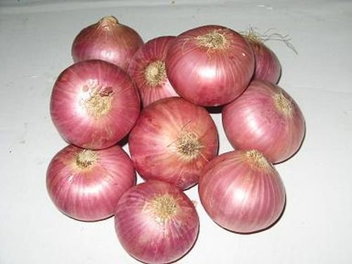 Onion