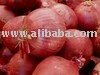  CHEAP  PRICE  ONION  FOR SUPPLY