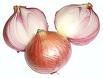 Onion