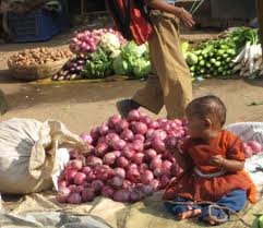 Baby Onion for sale