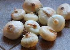 Cocktail Onion for sale
