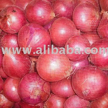 Bomby Onion