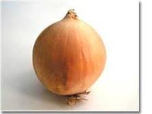 Brown Onion for sale