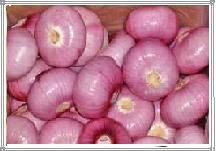 Whole Peeled Red Onion