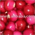 ONIONS