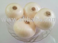 Fresh  White Onion