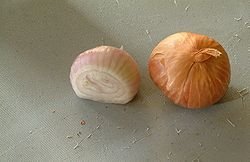 Charlotte  s    onion