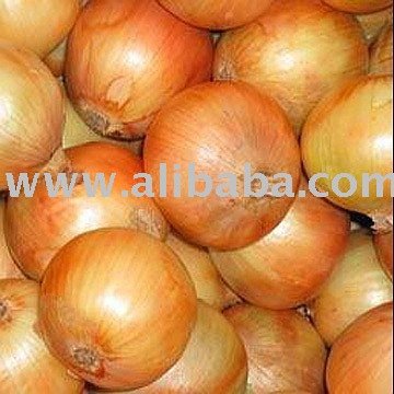 Yellow Onion